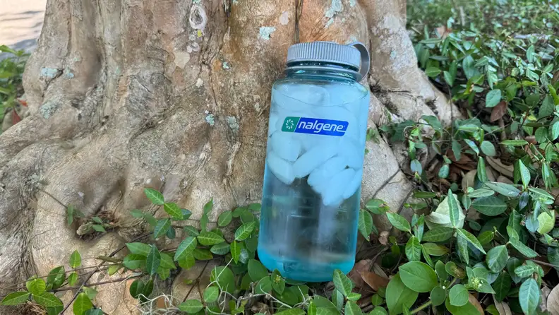 The Nalgene Sustain Tritan sits at a tree stump in green ivy.