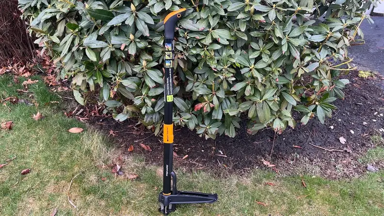 A Fiskars Deluxe Stand-up Weeder leaning against a large garden shrub.