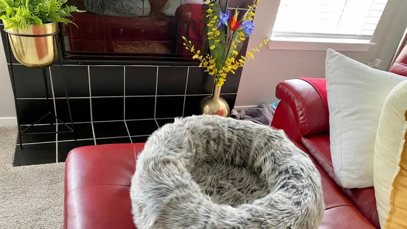 The Tuft + Paw Nuzzle, a doughnut-shaped cat bed covered in gray faux fur, sits on a red leather ottoman