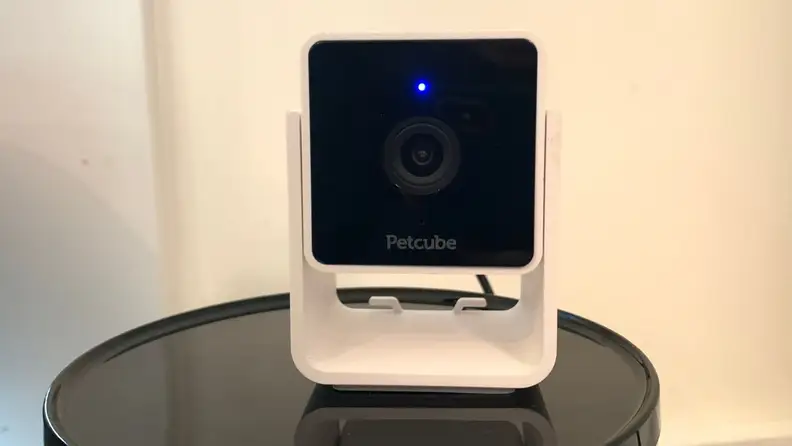 Front view of Petcube Cam on table