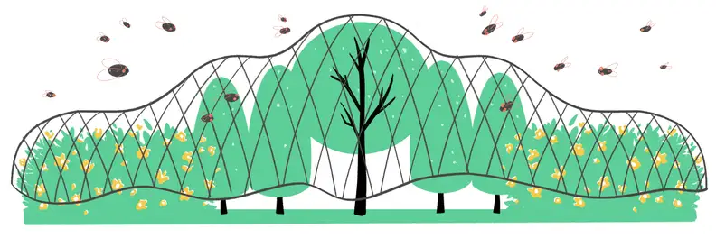 Illustration of cicadas swarming around trees, bushes, and flowers covered in garden netting