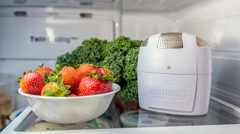 A FridgeFresh inside a fridge with strawberries and kale