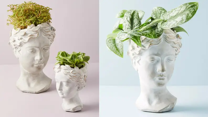 This concrete planter comes in two different sizes.