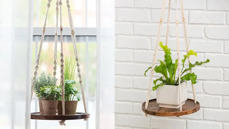 Potted plants sit on a hanging macrame shelf.