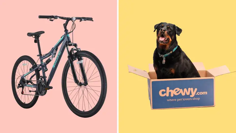 A bike against a pink background on the left. A Rottweiler sitting in a Chewy box against a yellow background on the right.
