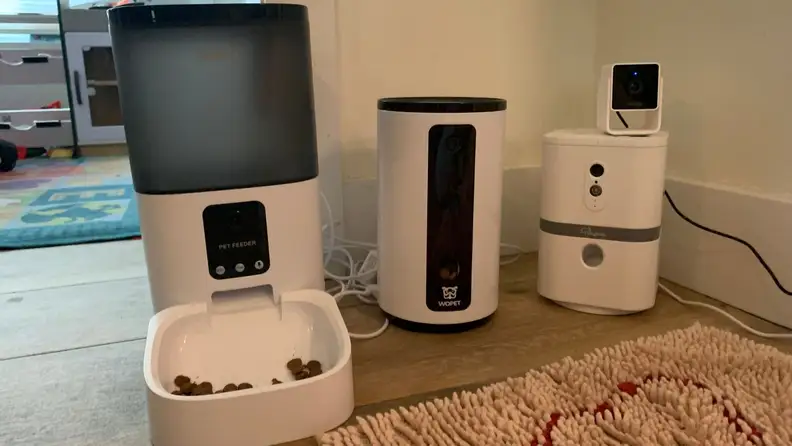 The best smart pet cameras.