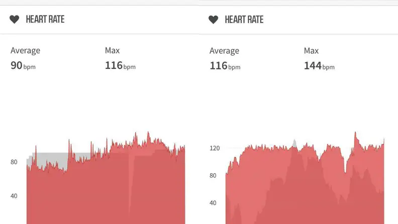 A photo of the author's heart rate monitor results.