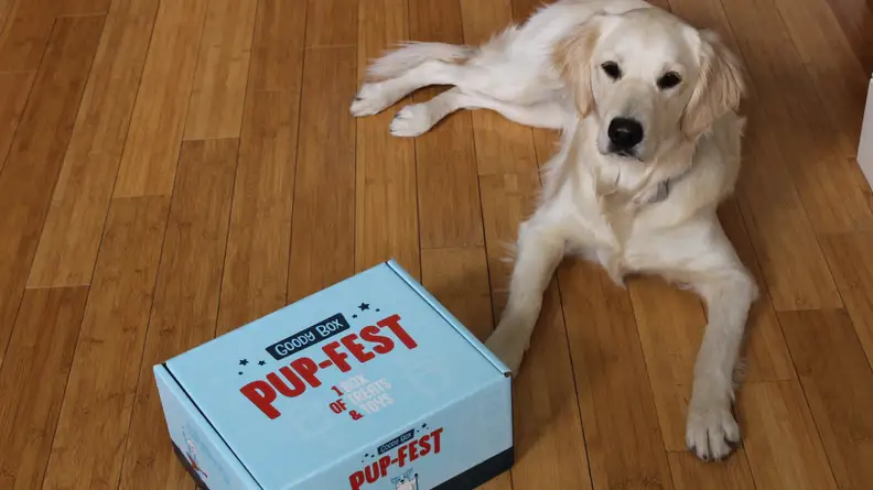 Overall, the Goody Box gets two paws up from Addy.