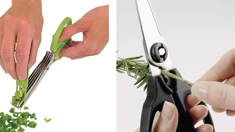Herb scissors vs. kitchen scissors