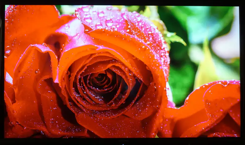 Sharp 70UD27 21% more color