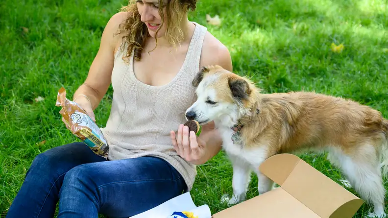 A woman and a cute dog inspecting RescueBox cookies