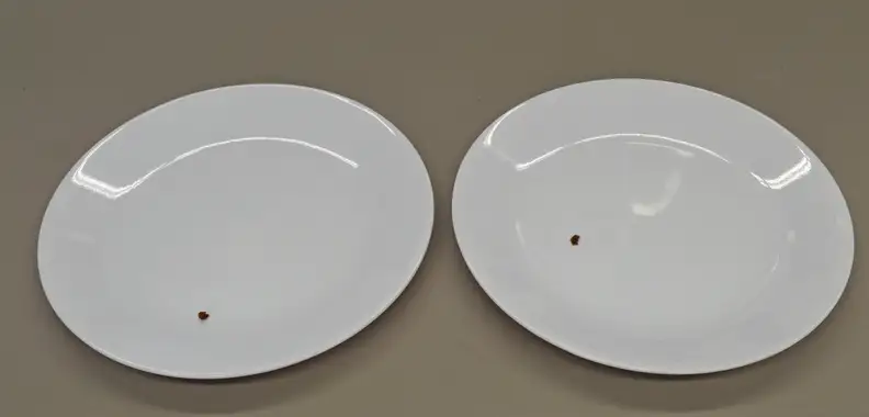 Kenmore Elite 14763 almost perfect meat test