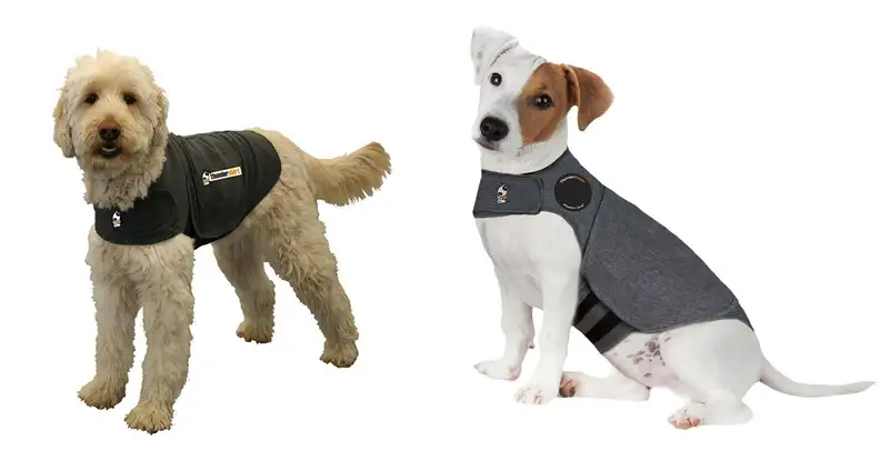 Thunder shirts for dogs