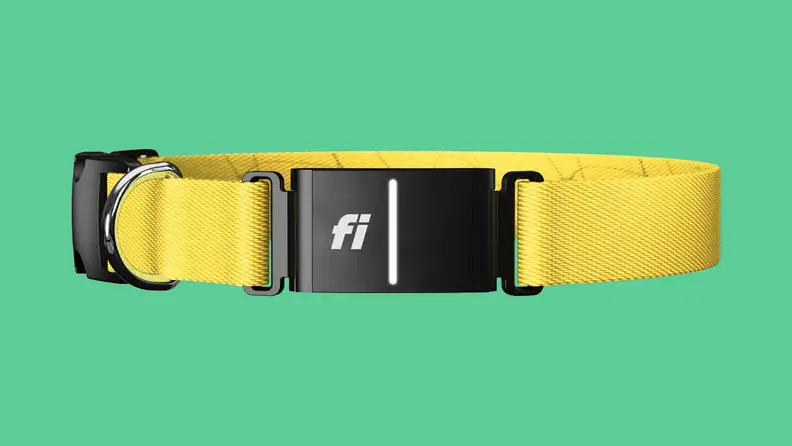 Fi dog tracker collar on colored background