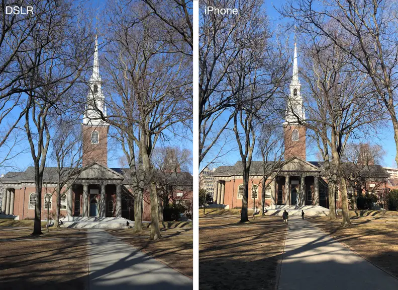 Harvard University