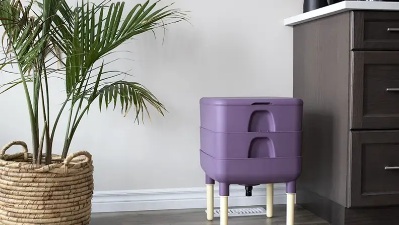 Purple indoor composting bin on floor of apartment.
