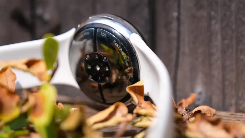 The Pixel Watch 2 sits on autumn grass, it's health sensors on display.