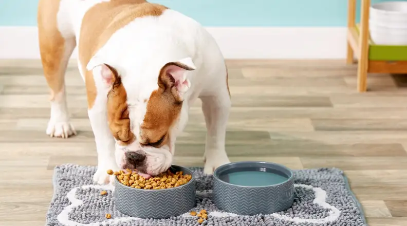 An image of a dog eating food above the Soggy Doggy Slopmat.