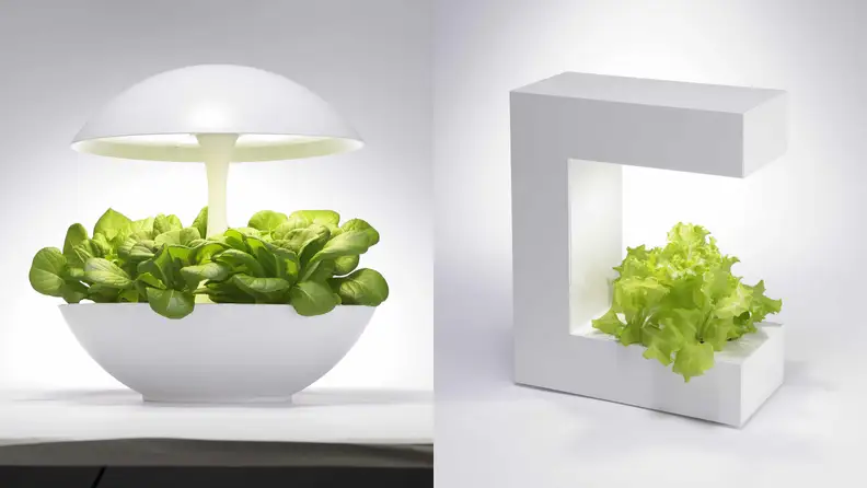 Akarina 01 and Akarina 14 Planters
