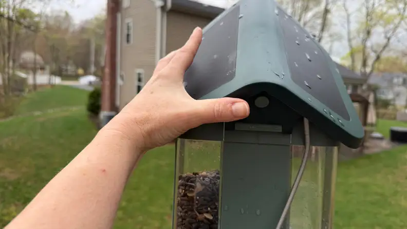 Left hand touching the roof of a green Kiwibit Bird Feeder 2 in front of trees and grass.