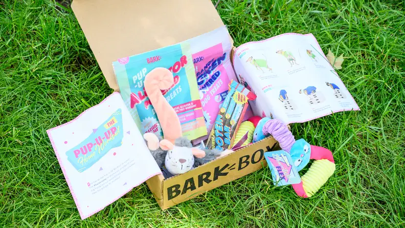 An open BarkBox displaying contents