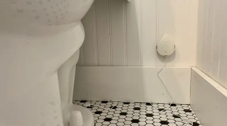 Flo by Moen Smart Water Leak Detector