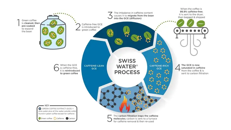 An illustrated infographic demonstrating how coffee beans become decaffeinated through the Swiss Water Process.