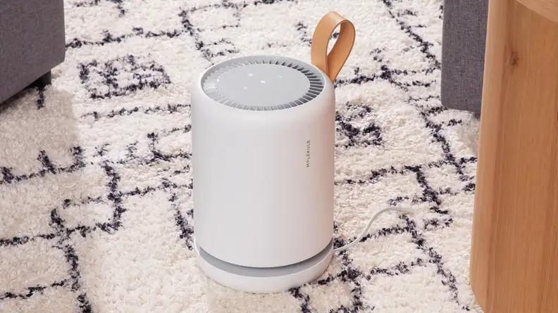 The portable air purifier sits on a carpet.