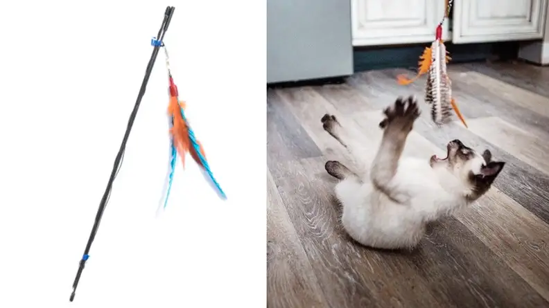 Feather Teaser