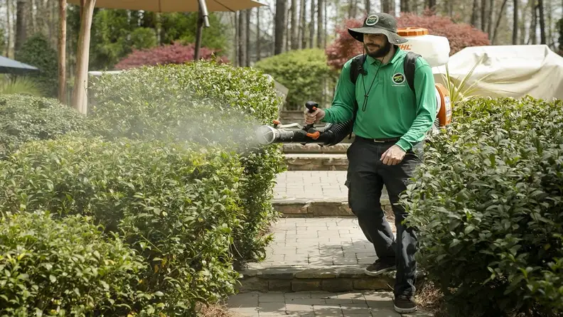 Technician spraying hedges with backpack mosquito control equipment