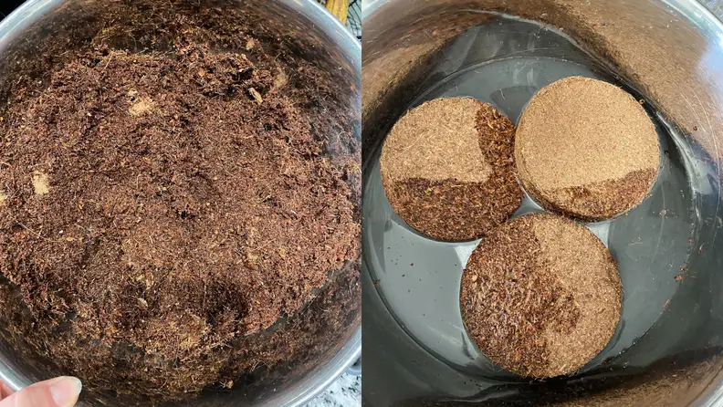 Compost soil in bowl.