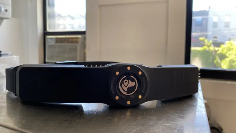 Black SpotOn GPS collar sitting on a grey counter in front of two windows.