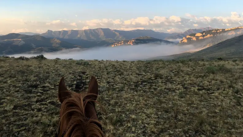 A horse facing a foggy mountain