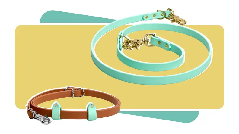 The Strange Tails Classic Biothane Leash in seafoam and terracotta colors