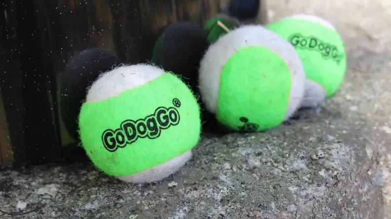 Addy was able to tear the fuzzy shell off these balls almost instantly.