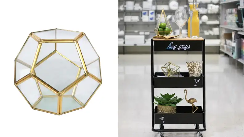 Terrarium