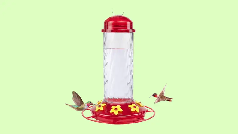 Two hummingbirds feed from the BOLITE Hummingbird Feeder with a red cap and base.