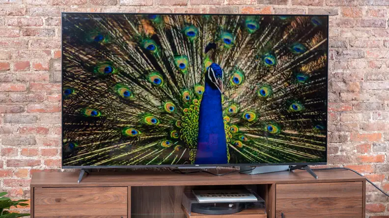 The TCL 5-Series with Google TV displaying 4K/HDR content in a living room setting