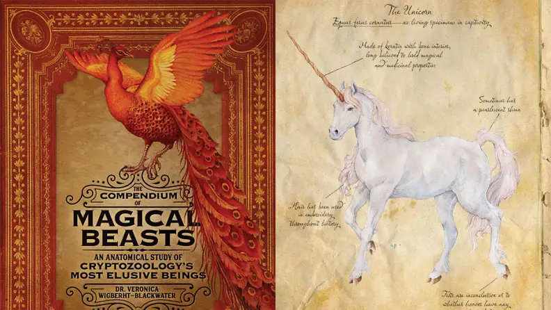 An in-depth look at all creatures magical and mystical.