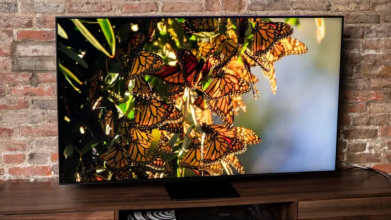 The QN90B displaying butterflies on the screen.