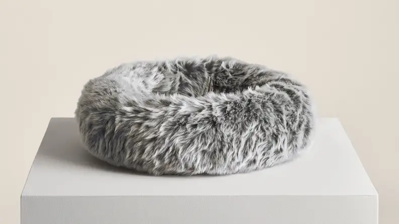 もふもふ My cat is obsessed with this cozy Tuft and Paw bed - Reviewed
