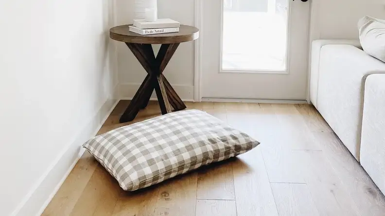 Dogs deserve nice things, too!