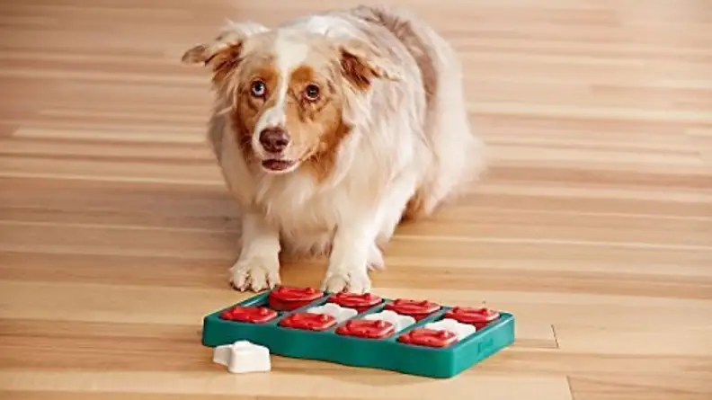 plastic puzzle toy