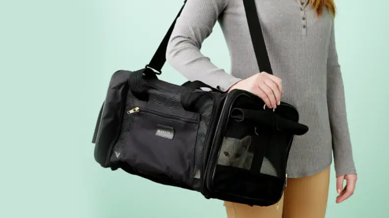 Someone holds a soft carrier with a cat inside