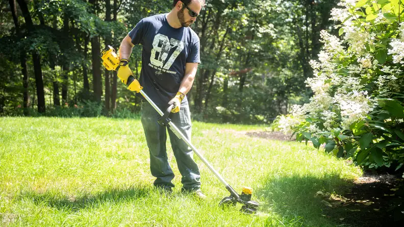 A man in a blue shirt uses a yellow Dewalt weed wacker on a green lawn on a sunny day