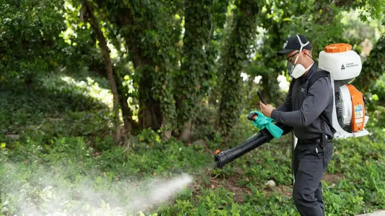 Technician spraying shrubs with backpack sprayer and checking phone