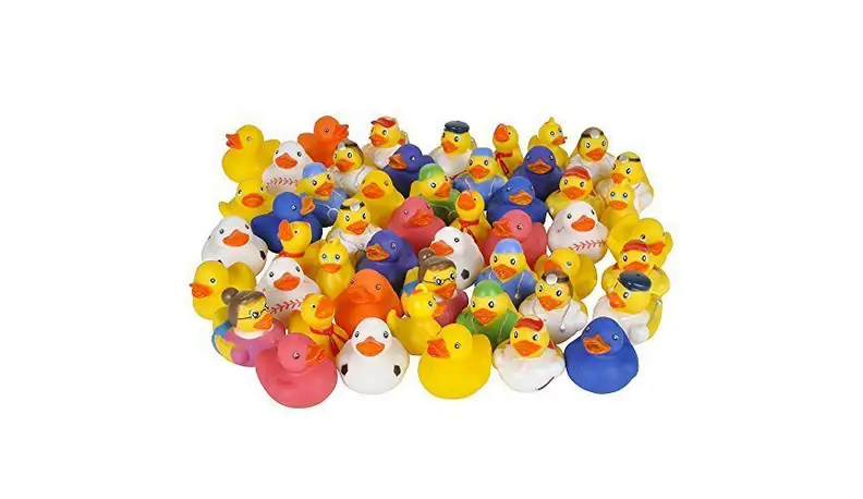 Ducks