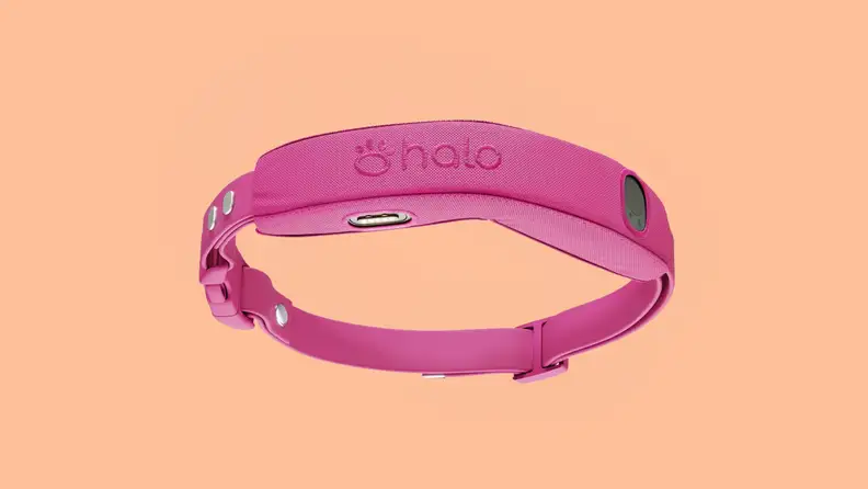 A pink Halo 5 dog leash on a peach background