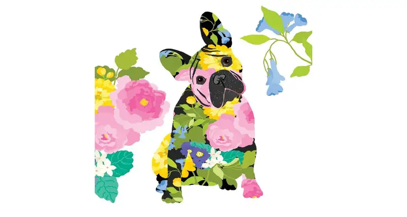 Frenchie