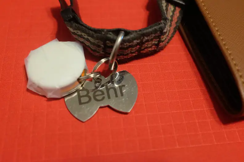 An Apple AirTag attached to a dog tag, on a dog collar, with a generous amount of tape.
